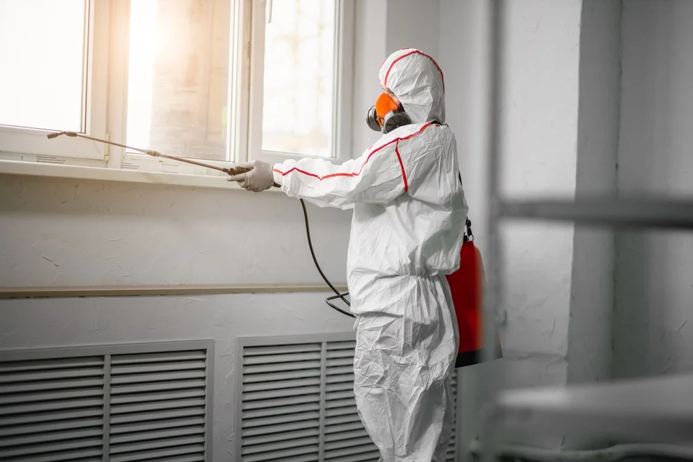 Professional mold remediation services in Berne, NY